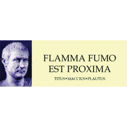 Magnet/Flamma fumo est
